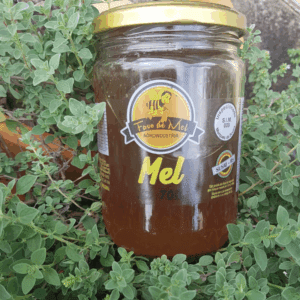 Mel Favo de Mel 700g